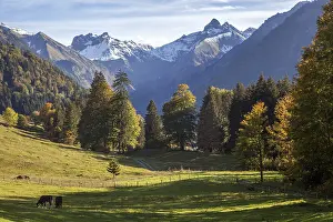 View from dOberallgaeu, Allgaeu
