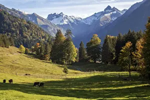 View from dOberallgaeu, Allgaeu