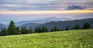View from Feldberg on a landscape with flower meadow