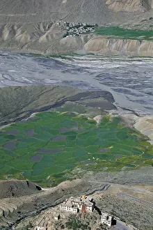 View of fields and the Buddhist Ki or Key Monastery or Gompa