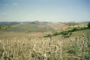 View over fields Fazenda Sant Anna, Campinas, Brazil, South America 1962, South America
