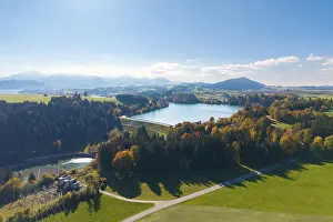 View of Forggensee surrounded by trees and mountains under clear sky