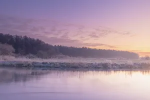 View of the frosty bank of the river Leine at sunset