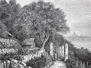 View of the garden of Villa Bennet in 1880