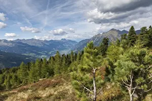 View of Gastein Valley from Zirbenweg