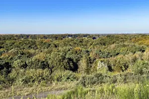 View from greened former slag heap Schoettelbeck of coal mining on forest area in autumn autumnal mixed forest
