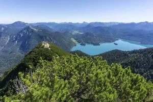 View from Herzogstand to its fore summit