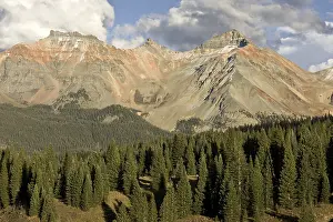 View across high forest habitat of white spruce (Picea engelmannii) towards the mountain top