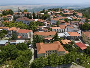 View of a hill town with traditional roofs and many trees in an extensive panorama