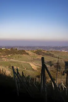 View over hilly vineyards with clear sky and sunset