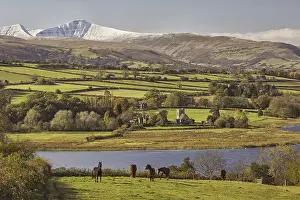 View of horses grazing, lake and snow-capped hills in the distance