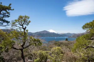View of Lake Ashi with Mount Fuji volcano
