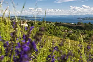 View over Lake Constance, Spetzgart Castle in front