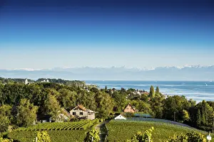 View of Lake Constance and vineyards
