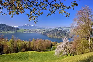 View of Lake Zug with Chiemen peninsula