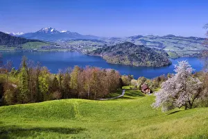 View of Lake Zug with Chiemen peninsula