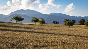 Category Mountain Landscapes Prints: View over meadow to Tramuntana mountains