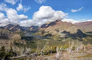 View of Two Medicine Lake with dead trees