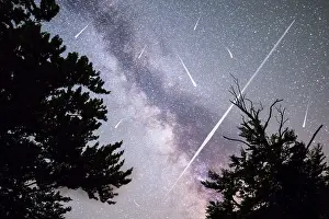 A view of a Meteor Shower and the Milky Way with a pine trees forest silhouette in the foreground