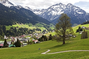 View of Mittelberg, behind Widderstein and Kleiner Widderstein