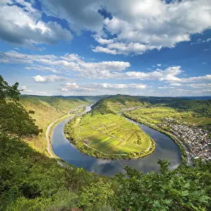 View of the Moselle bend at Bremmer Calmont