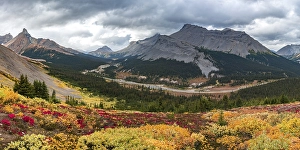 View to Mount Athabasca and Hilda Peak in autumn