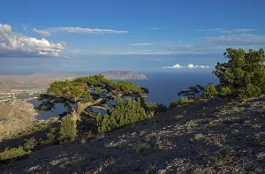 View from the top of the mountain