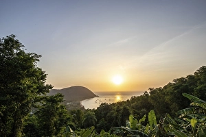 View from a mountain onto a secluded bay with a sandy beach and mangrove forest