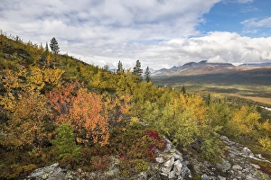 Category Mountain Landscapes Prints: View to the mountains of Sarek National Park