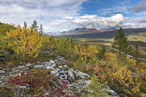 Category Mountain Landscapes Prints: View to the mountains of Sarek National Park