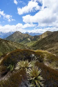 View of Murchison Mountains and Kepler Mountains