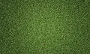 Top view of natural fresh green grassy background
