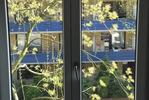 View of neighbourhood from window, Germany