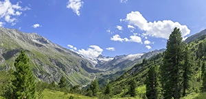 Category Mountain Landscapes Prints: View of the Obersulzbach valley with the great violinist in the HG
