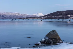 View on Ofotfjord and Skanland mountains