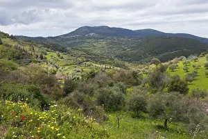 View of a peaceful, lush green landscape with mountains and cloudy sky in the background