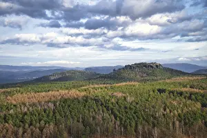View from the Pfaffenstein. Forests