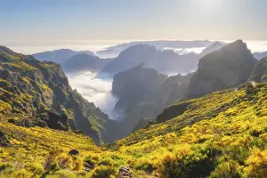 View from Pico do Arieiro of mountains over clouds with blooming Cytisus shrubs on sunset with sunburst