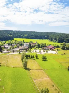 View of a picturesque farm surrounded by green meadows and forests under a blue sky