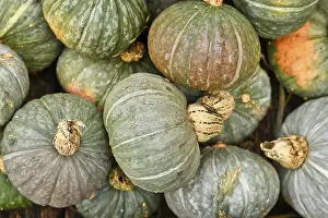 Top view of pile of green Kabocha squashes