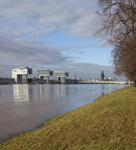 View over the polder meadows on the left bank of the Rhine River