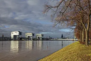 View over the polder meadows on the left bank of the Rhine River