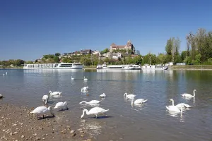 View over the Rhine toward Munsterberg with Munster St