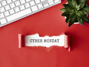 Top view ripped paper with keyboard plant cyber monday