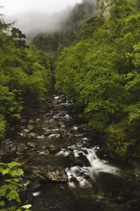 View along river valley with misty slopes above