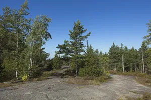View of top of rock area with bare spots and trees in summer