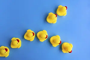 Top view of rubber duck going in different direction