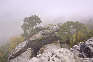Category Mountain Landscapes Prints: View over the Schrammsteine the Elbe Sandstone Mountains