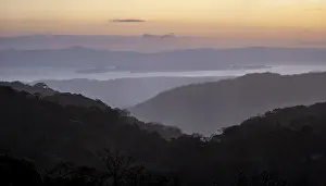 View to the sea over wooded hills