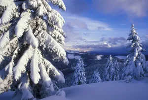 View from the Seebuck on the snow covers South Black Forest